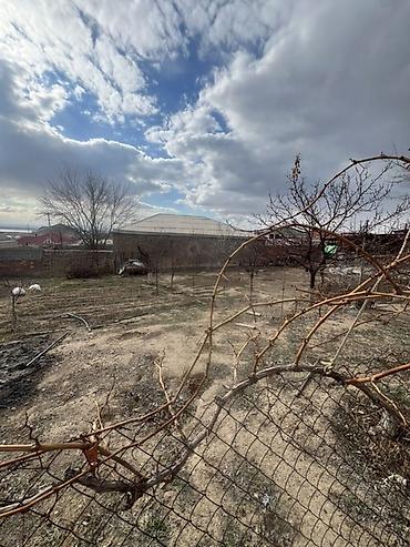 Həyət evi alıram: 103 kv. m, 2 otaqlı — 42