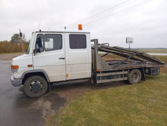 садовый измелчитель: Mercedes-Benz : 2003 г., 4.3 л, Механика, Дизель, Фургон