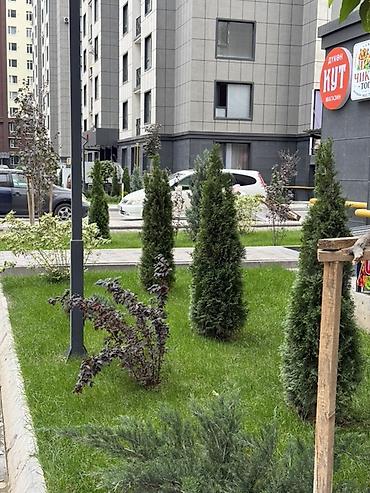 Продажа квартир: 3 комнаты, 86 м², 12 этаж, ПСО (под самоотделку) — 3