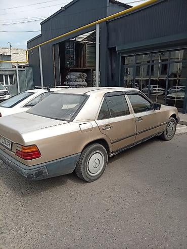 меерс 124: Mercedes-Benz W124: 1989 г., 2.4 л, Дизель, Седан — 1