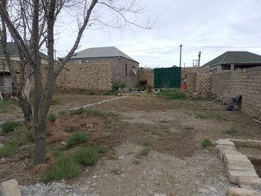 Torpaq sahələrinin satışı: 8 sot, Biznes üçün, Mülkiyyətçi, Kupça (Çıxarış) -da lalafo.az — 3 Torpaq sahələrinin satışı: 8 sot, Biznes üçün, Mülkiyyətçi, Kupça (Çıxarış) — 3