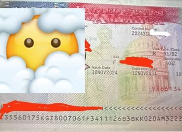 услуги по заполнению грин кард: Услуга по оформлению виз в США,Китай, Япония, Корея,Шенген виза в