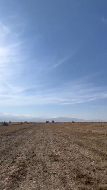 Продажа участков: 31 соток, Для строительства, Красная книга, Тех паспорт — 4