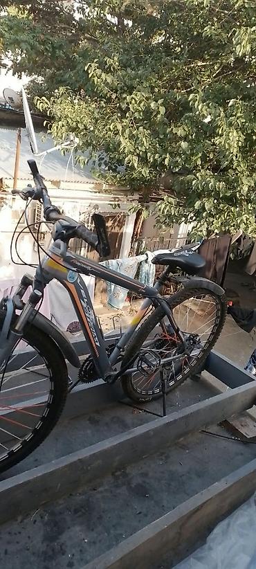Velosiped – dağ/şəhər tipli, 29" təkər ölçüsü - Marka/model üzərində lalafo.az -da Velosiped – dağ/şəhər tipli, 29" təkər ölçüsü - Marka/model üzərində