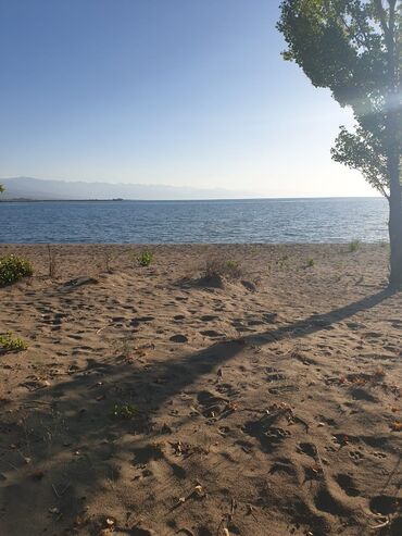 ысык коль: Земельный участок 2,0 га на южном берегу Иссык-Куля под
