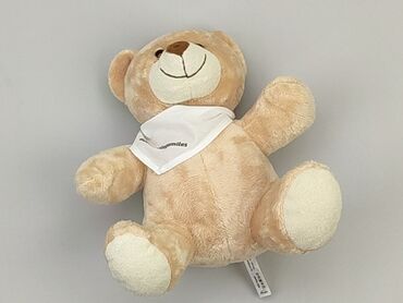 Mascot Teddy bear, condition - Very good