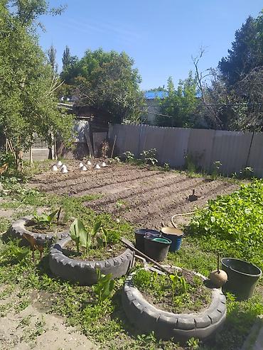 rayan building: Продаю большой дом в районе рынка чакиш-ата.дом 120кв.м в доме есть — 5