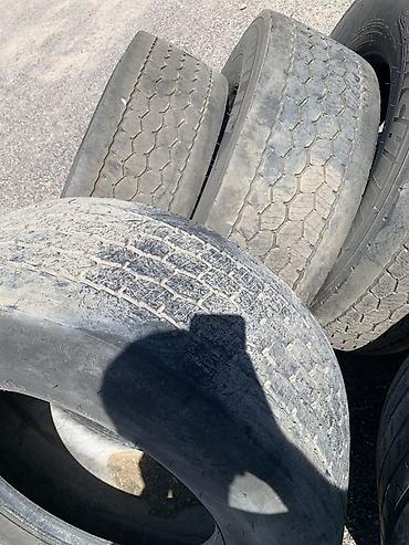 Транспорт: Грузовые шины Michelin - Размеры на фото: 315/70 R22.5 и 385/55 R22.5 — 2