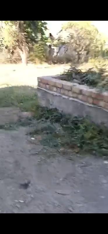 Жер тилкелерди ижарага берүү: 4 соток, Курулуш, Техпаспорт — 1