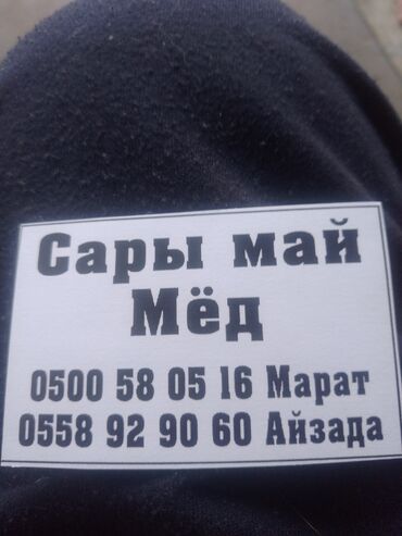 Козы, козлы: Продаю | Коза (самка), Козёл (самец) | Зааненская, Битал | Для разведения | Племенные — 25