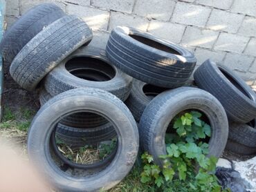 авто виш: Шины