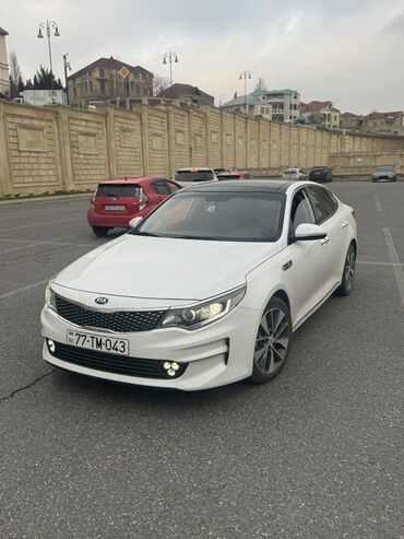 kia rio avtomat: Ağ rəngdə, qara damı olan Kia Optima avtomobili. Maşın rahatlığı və