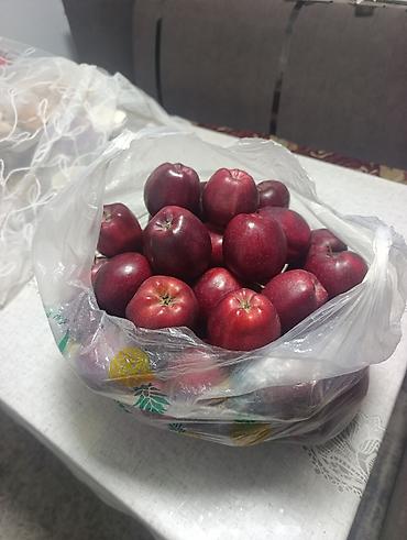 превосходный сорт яблок: Яблоки Крипсон, Оптом, В розницу — 1