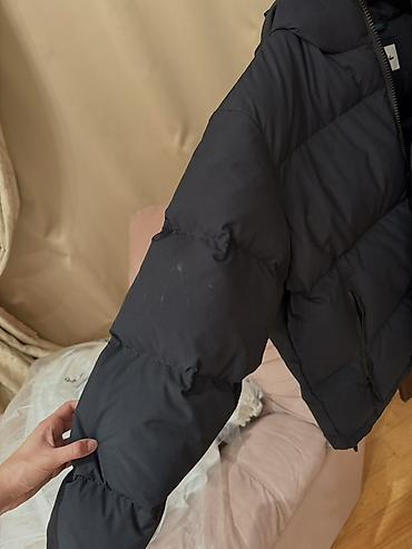 Kurtkalar: Kurtka, Bolonka, Qış, Lacoste, L — 6