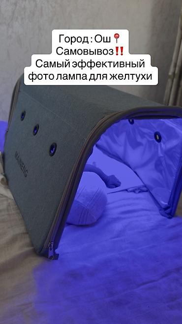 лет лампа: Фототерапевтическая лампа для лечения физиологической желтухи Для — 1