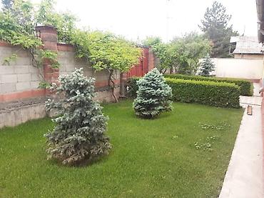 Продажа домов: Дом, 160 м², 6 комнат, Собственник, Косметический ремонт — 15