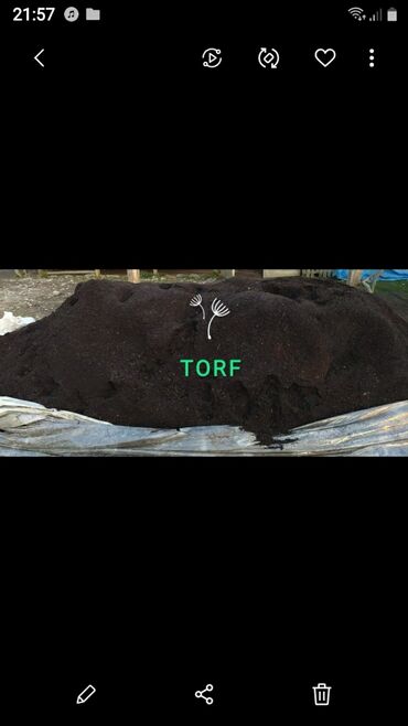 torf torpaq: Torf Balakan topdan va parakanda satlw 1.5 qapik catdlrlma var