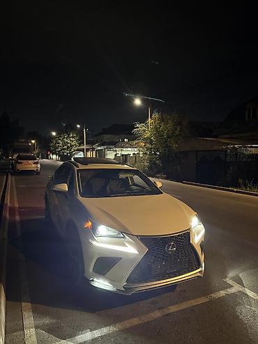lexus: Lexus NX: 2020 г., 2.5 л, Автомат, Гибрид, Кроссовер — 1