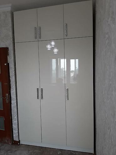 Мебель на заказ: Мебель на заказ, Шкаф — 9