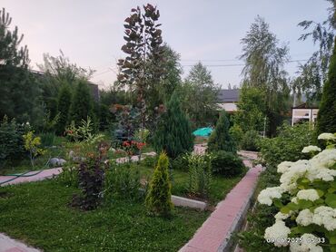 работа в бишкеке в ночную смену без опыта: Требуется приходящий садовник для покоса травы два раза в месяц