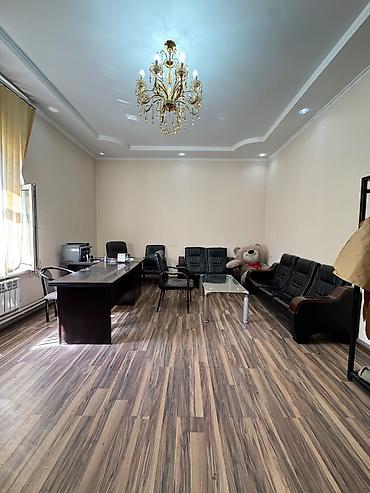 beta stores: 500 м² — 5