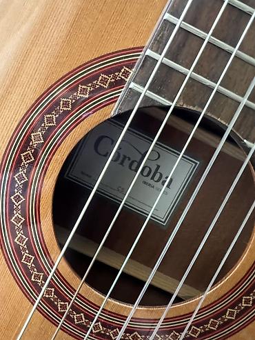 Yeni, istifadə olunmamış Cordoba C5 (Iberia Series) klassik gitara - — 5