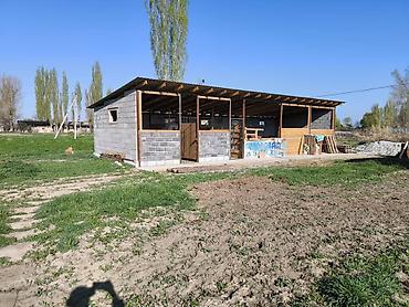Продажа коттеджей и домов: СРОЧНО Продаётся дом с большим участком Основные характеристики: - — 11