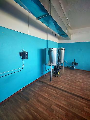 Продажа другой коммерческой недвижимости: Коммерческая недвижимость для вашего бизнеса в Военно-Антоновке! — 13