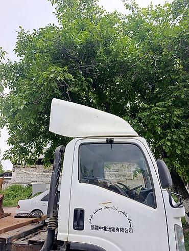 шторы на даф: Козырёк-обтекатель на крышу кабины грузовика ELF ISUZU - Тип — 1