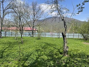 sans tibb merkezi gence: 10 sot, Biznes üçün, Mülkiyyətçi, Kupça (Çıxarış) — 2
