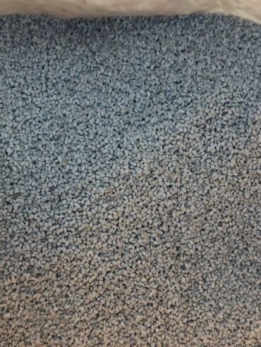 Кормовые растения: Семена кормовых растений: Люцерна — 9