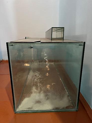 balığ: Dördbucaq akvarium, Balıqlarla birlikdə, 145 l — 2
