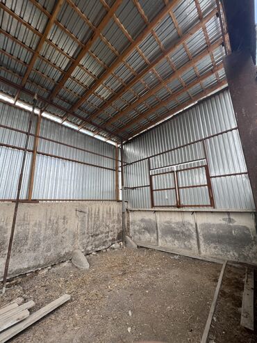 Другая коммерческая недвижимость: Сдаю Конюшню в перспективном районе для содержания лошадей и быков — 11