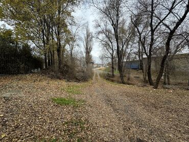 Продажа участков: 17 соток, Для бизнеса, Красная книга, Тех паспорт, Договор купли-продажи — 9