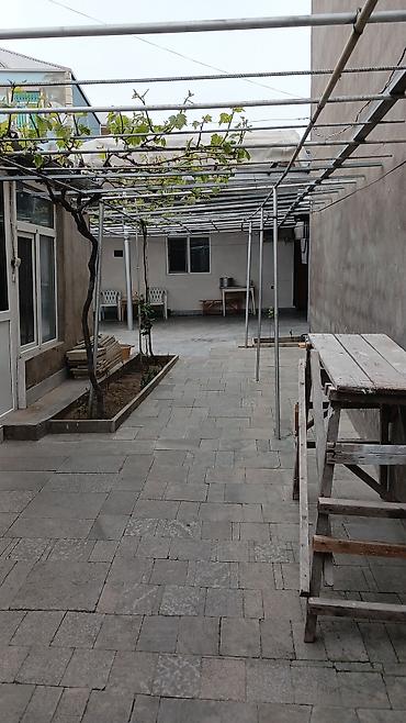 sabuncu ev: 33 kv. m, 1 otaqlı, İnternet, Telefon, Qaz — 1