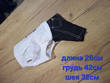 Демисезонные куртки: Одежда для собак и кошек — теплые куртки-комбинезоны с капюшоном — 15