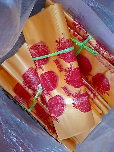 Пакеты: Пакет — 4