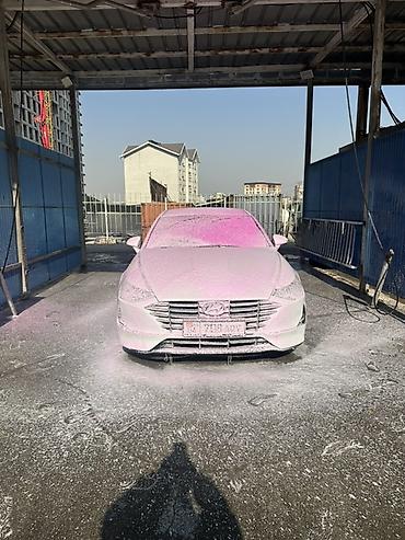 toyota laurel: Hyundai Sonata: 2019 г., 0.2 л, Автомат, Газ, Седан — 4
