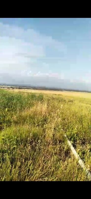 Torpaq sahələrinin satışı: 5000 sot, Kənd təsərrüfatı, Mülkiyyətçi, Kupça (Çıxarış) — 10