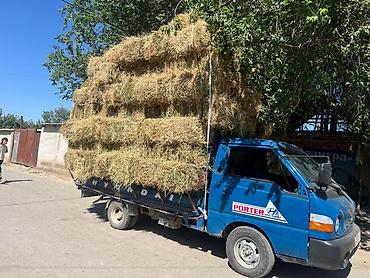 зеркала на одиссей: Легкий грузовик, Hyundai, Стандарт, 3 т, Б/у — 2
