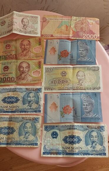 анар исаев история азербайджана pdf скачать: Kolleksiya üçün xarici kağız pullar dəsti. - Vyetnam: - 10 000