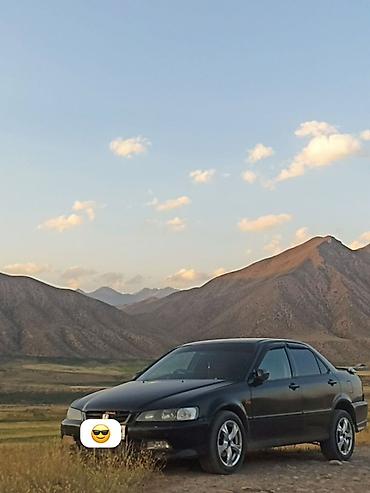 сполер хонда аккорд: Honda Accord: 1997 г., Автомат, Газ, Седан — 2