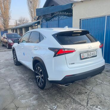 Lexus: Lexus NX: 2017 г., Кроссовер — 7