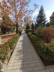 Продажа квартир: 5 и более комнат, 202 м², Элитка, 3 этаж, Евроремонт — 29