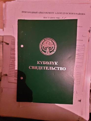 келет: 30000 соток, Айыл чарба үчүн, Башкы ишеним кат — 3