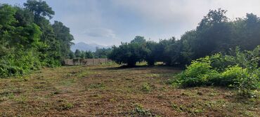 сайты недвижимости в баку: 10 соток, Для бизнеса, Собственник, Купчая