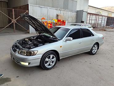lexus es 2014: Toyota Qualis: 1999 г., Бензин, Универсал — 1