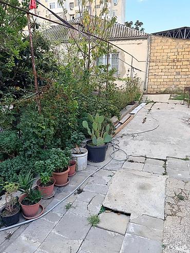 a frame ev satilir: 6 sot, Biznes üçün, Mülkiyyətçi, Kupça (Çıxarış) — 6
