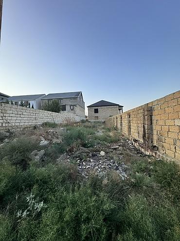 binə torpağ: 2500 sot, Tikinti, Mülkiyyətçi — 1