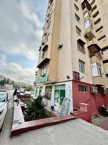 sut satisi: 2 otaqlı, Yeni tikili, 64 kv. m — 2